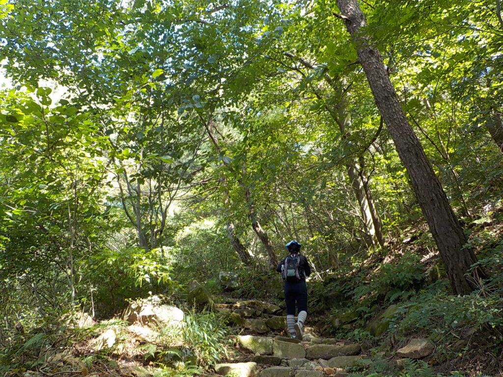 창녕 화왕산 최단코스 등산코스14