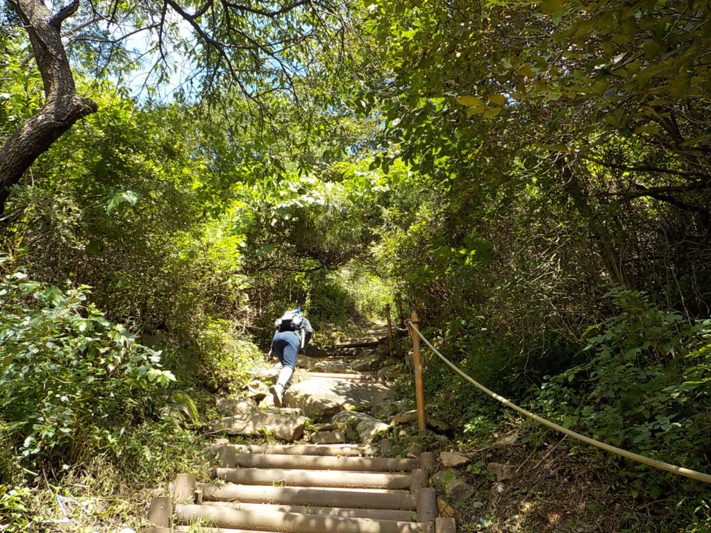 창녕 화왕산 최단코스 등산코스19