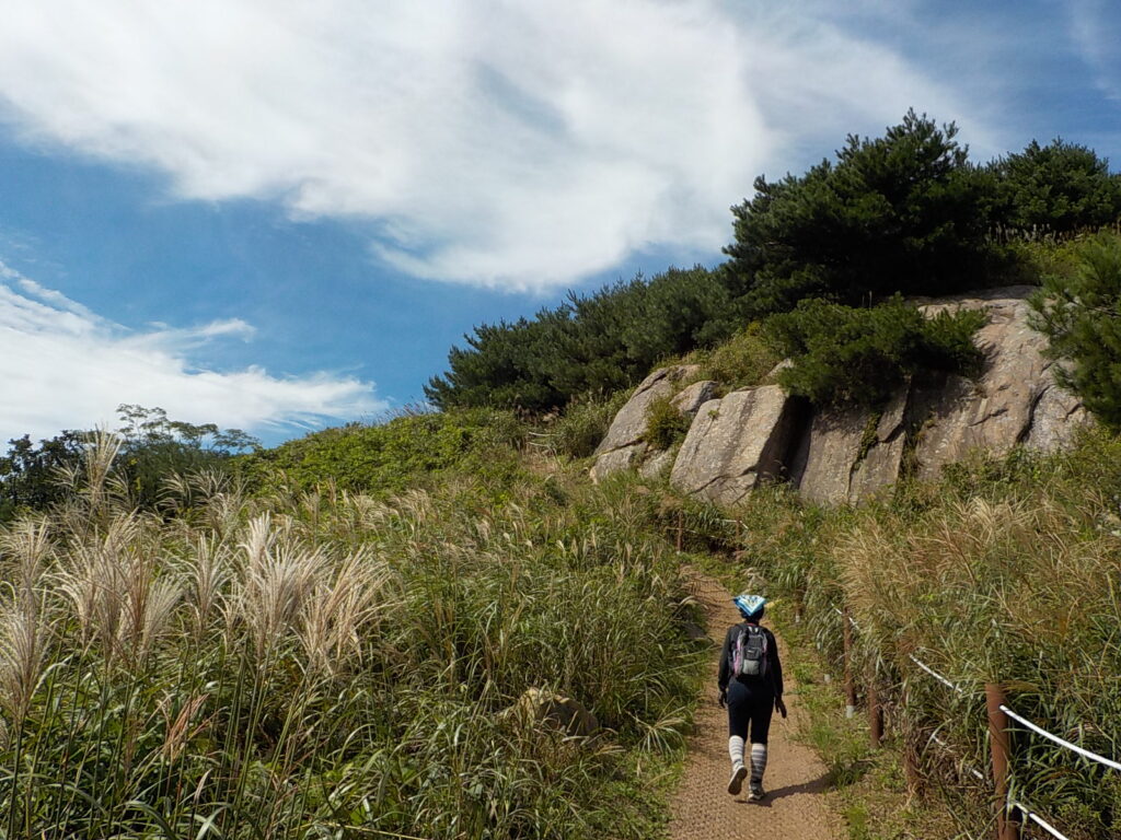 창녕 화왕산 최단코스 등산코스25