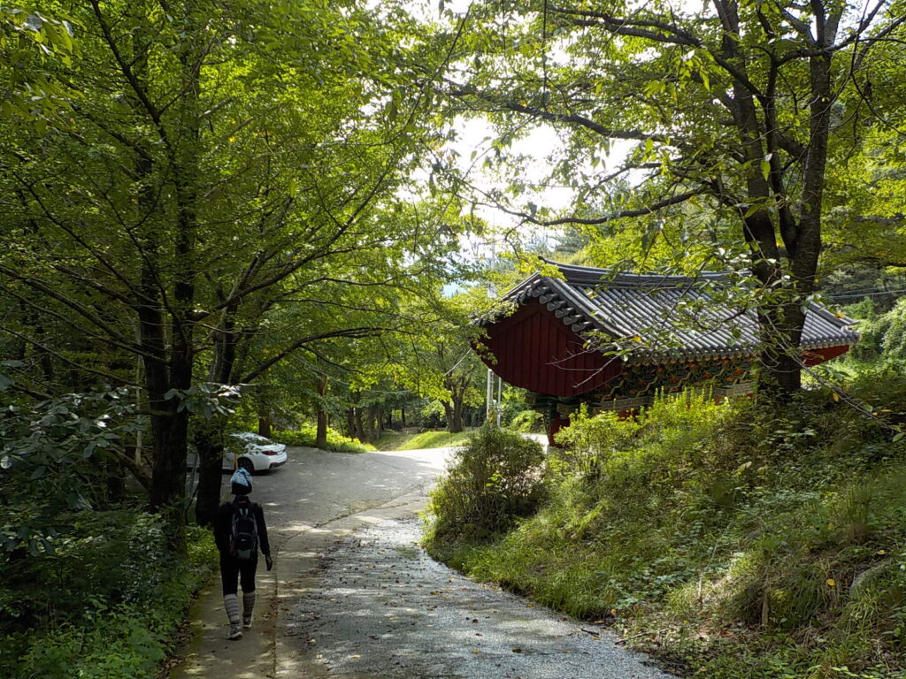 창녕 화왕산 최단코스 등산코스33