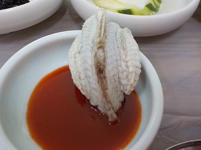 통영 해장 맛집 호동식당 복국14