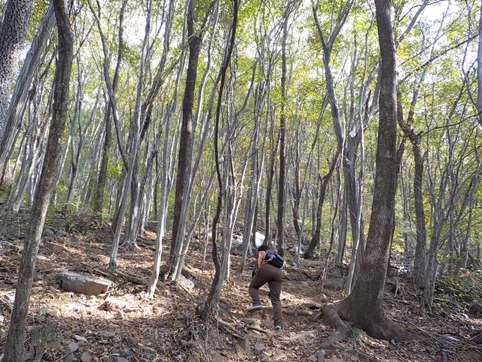 남해 설흘산 등산코스 등산로 등산지도10