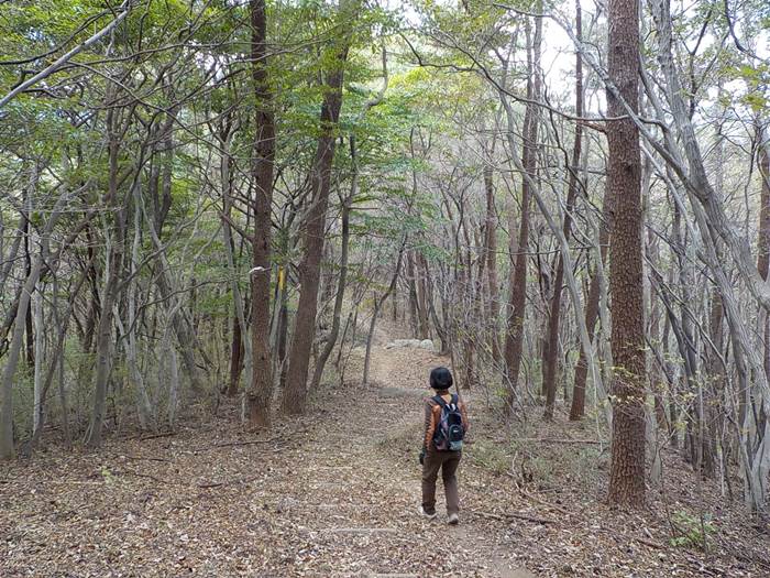 남해 설흘산 등산코스 등산로 등산지도22