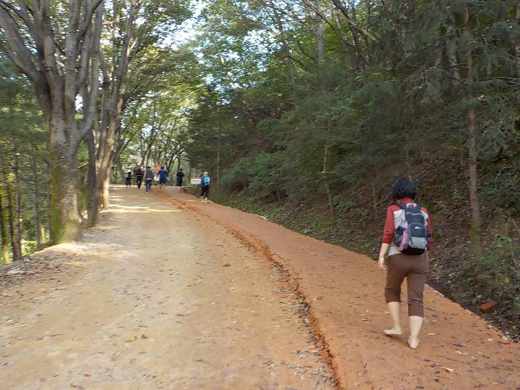 대전 걷기 좋은 길 계족산 황톳길 맨발로 걸어서 오르기