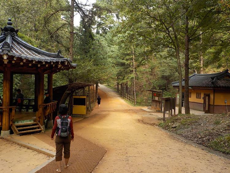 대전 걷기 좋은 길 계족산 황톳길23