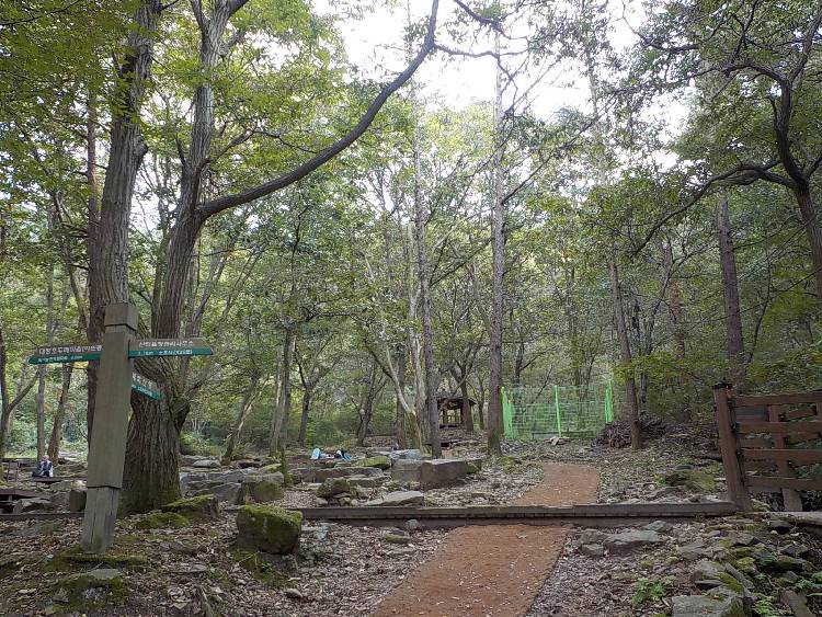 대전 걷기 좋은 길 계족산 황톳길27