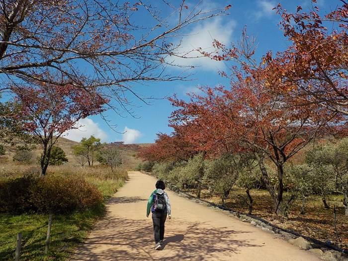 합천 황매산 등산코스7