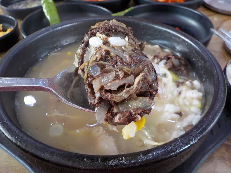 해남 순대국밥 맛집 신창손순대국밥14