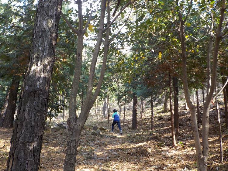 해남 흑석산 등산코스 최단코스 등산지도8