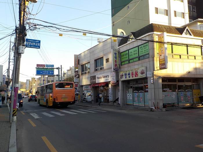 밀양 치킨집 치킨 맛집 추천 장성통닭2