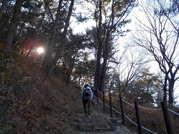 부산 봉래산 등산코스 최단코스 등산지도8