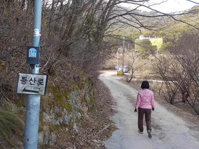 창원 저도 용두산 등산코스