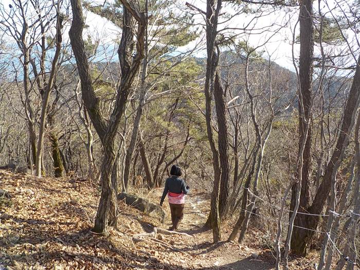 창원 저도 용두산 둘레길 최단코스23