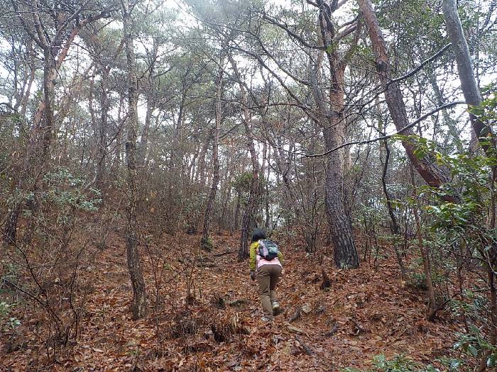 강진 만덕산 등산코스 최단코스 등산지도12