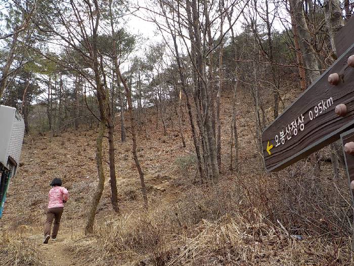 오봉산 등산코스 춘천 오봉산 최단코스 등산지도7