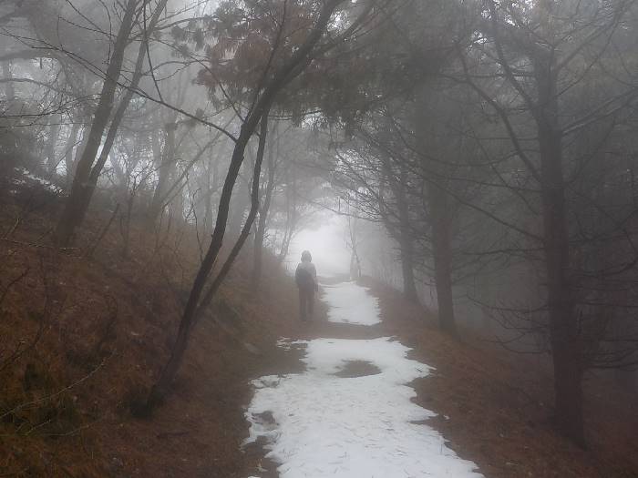 유명산 등산코스 양평 유명산 최단코스 등산지도14