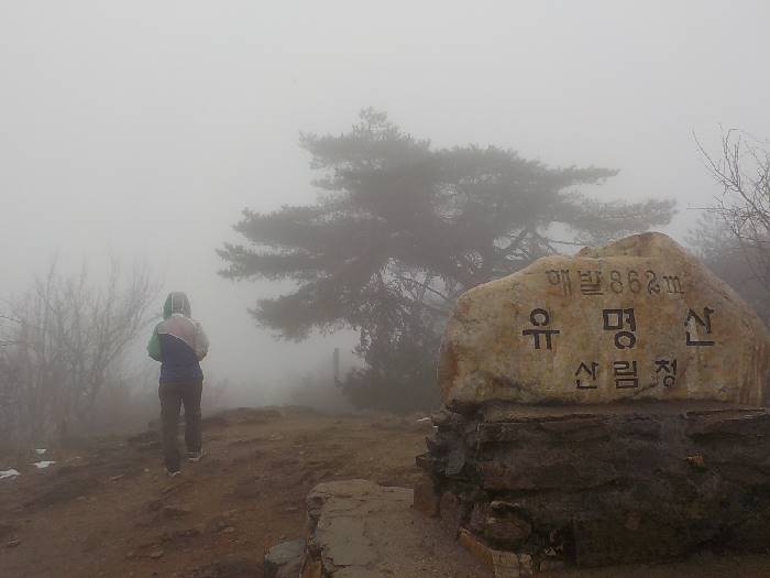 유명산 등산코스 양평 유명산 최단코스 등산지도28