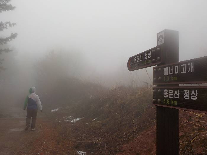 유명산 등산코스 양평 유명산 최단코스 등산지도6