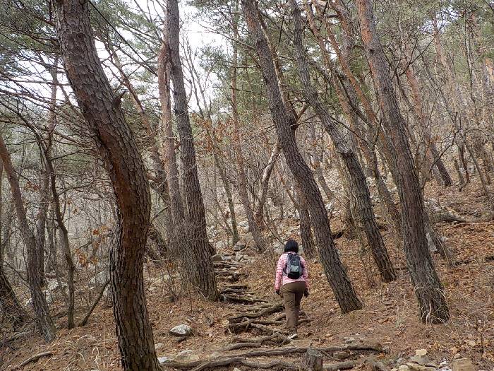 춘천 삼악산 등산코스 최단코스 등산지도10