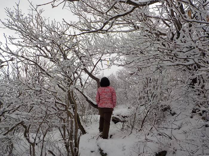 화악산 등산코스 가평 화악산 최단코스 등산지도37