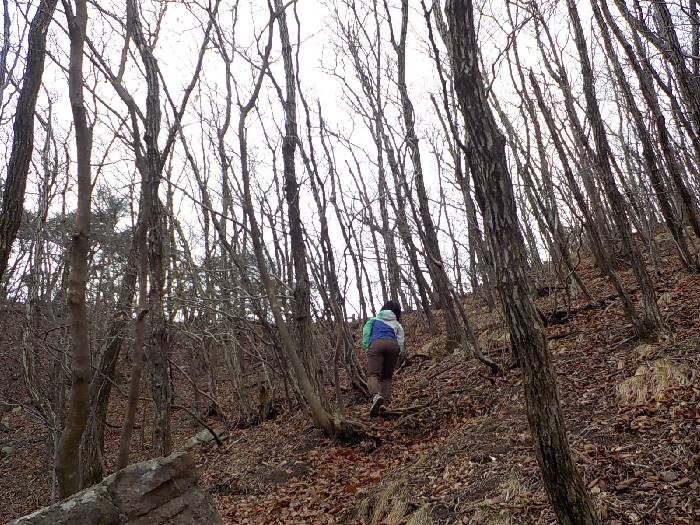 구병산 등산코스 보은 구병산 최단코스 등산지도16