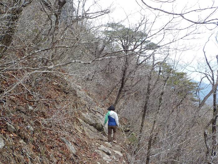 구병산 등산코스 보은 구병산 최단코스 등산지도21