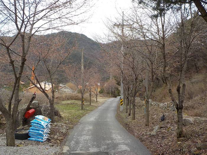 구병산 등산코스 보은 구병산 최단코스 등산지도4