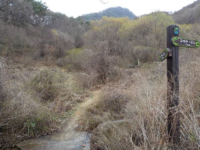 구병산 등산코스 보은 구병산 최단코스 등산지도5