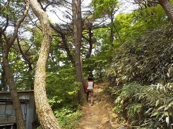 상주 갑장산 등산코스 갑장산 최단코스 등산지도12