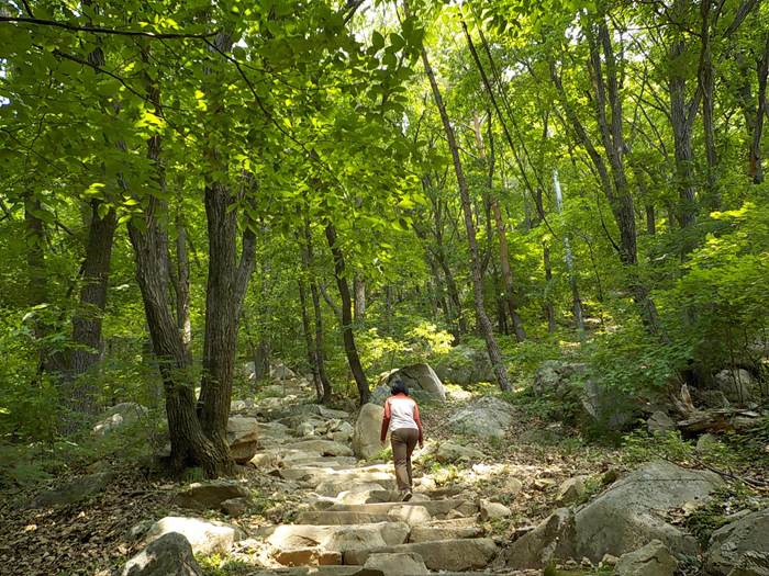 상주 갑장산 등산코스 갑장산 최단코스 등산지도4