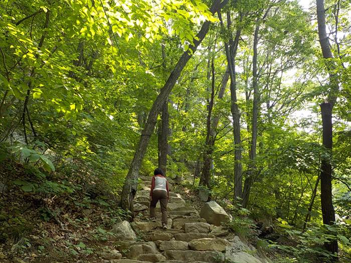 상주 갑장산 등산코스 갑장산 최단코스 등산지도5