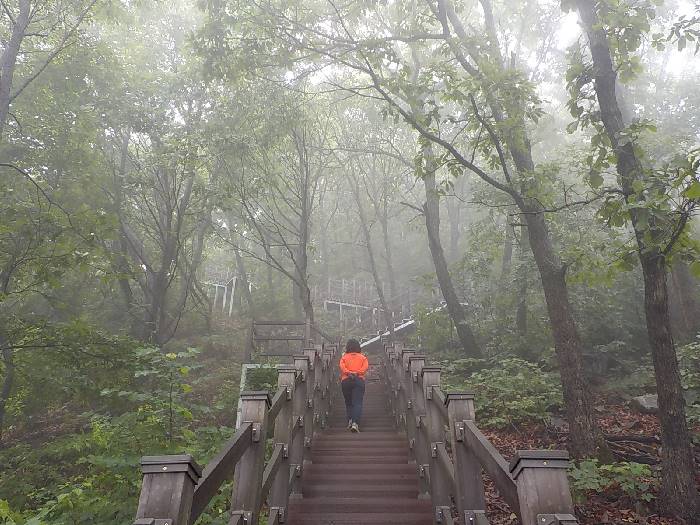 계명산 등산코스 충주 계명산 최단코스 등산지도13