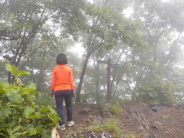 계명산 등산코스 충주 계명산 최단코스 등산지도14