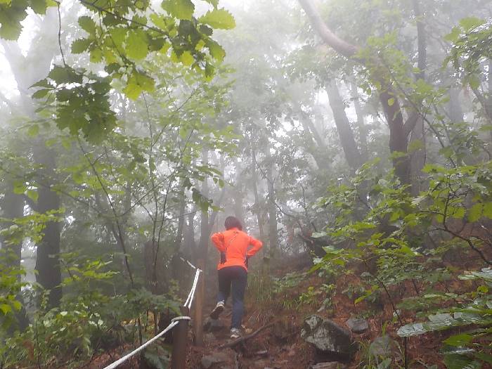 계명산 등산코스 충주 계명산 최단코스 등산지도20