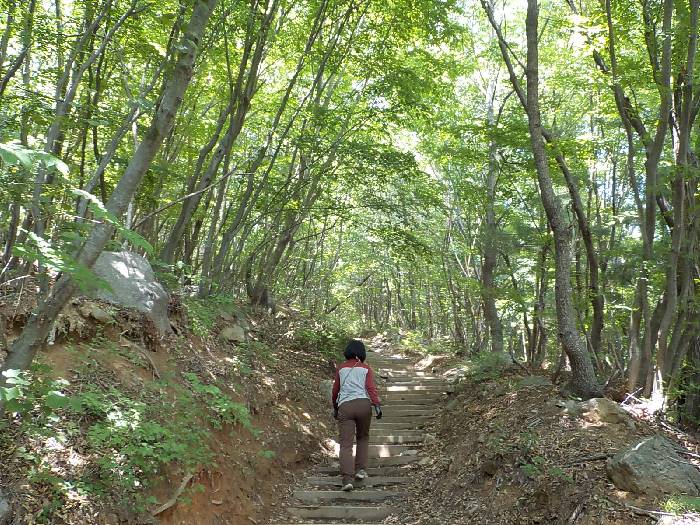 운문산 등산코스 청도 운문산 최단코스 등산지도17