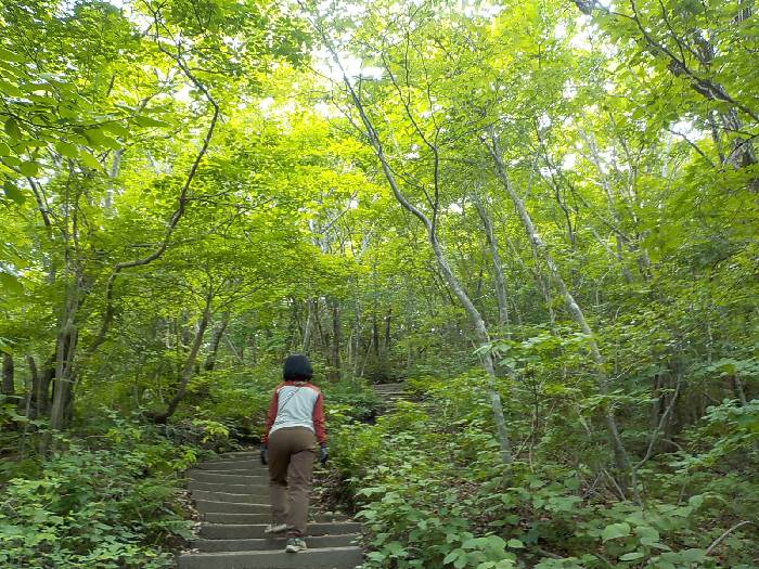 운문산 등산코스 청도 운문산 최단코스 등산지도22