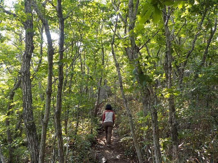 운문산 등산코스 청도 운문산 최단코스 등산지도23