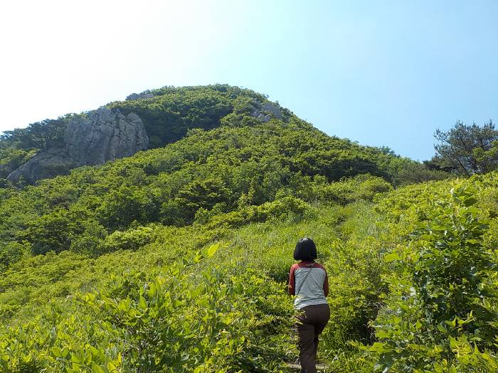 운문산 등산코스 청도 운문산 최단코스 등산지도24