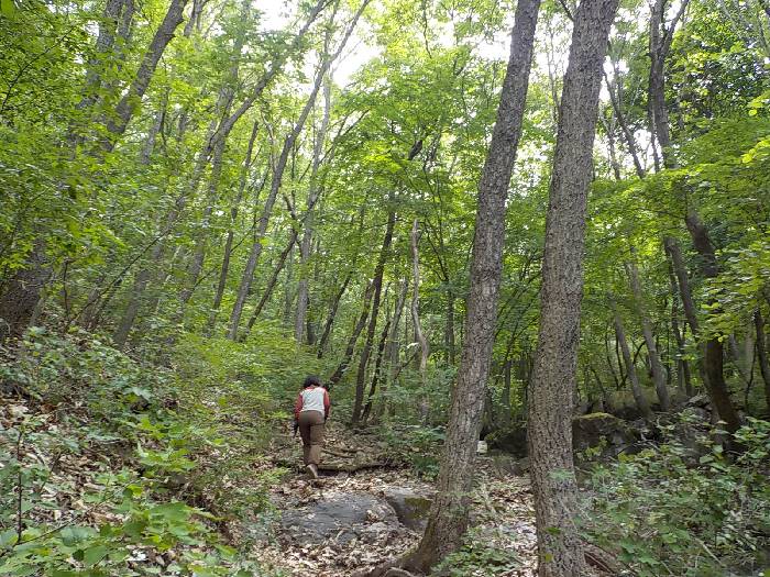 진천 두타산 등산코스 충북 진천 두타산 최단코스11