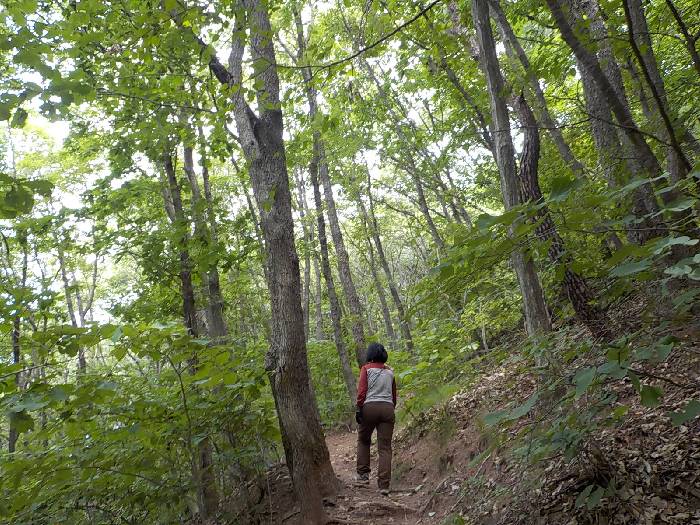 진천 두타산 등산코스 충북 진천 두타산 최단코스12