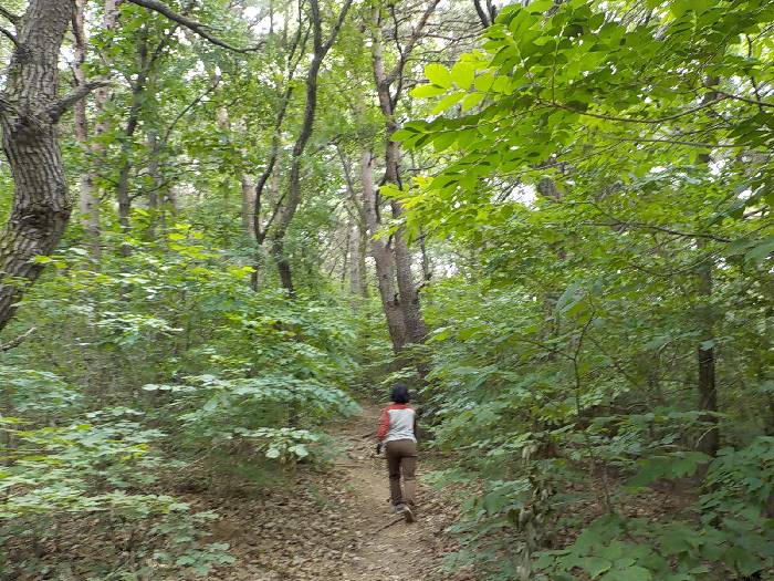 진천 두타산 등산코스 충북 진천 두타산 최단코스14