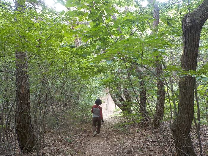 진천 두타산 등산코스 충북 진천 두타산 최단코스15