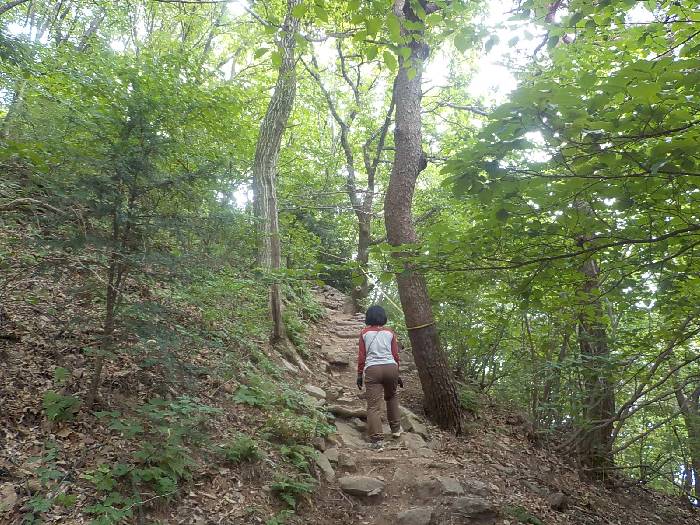 진천 두타산 등산코스 충북 진천 두타산 최단코스16