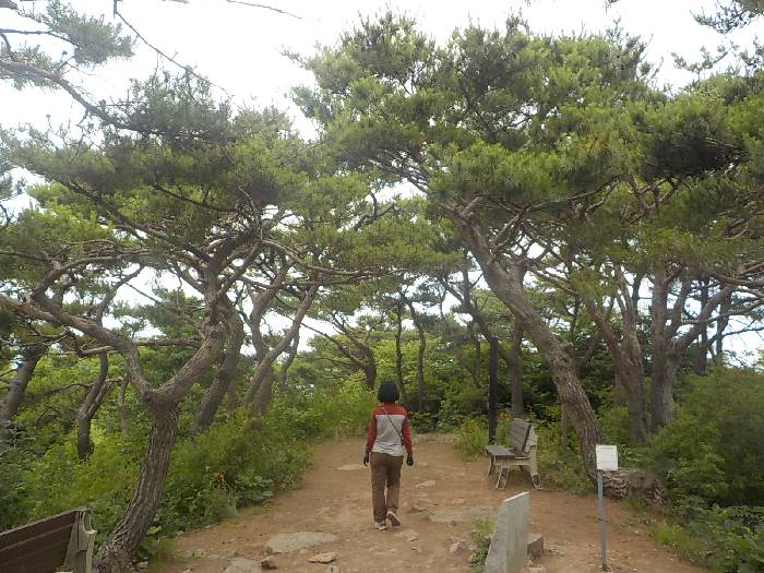 진천 두타산 등산코스 충북 진천 두타산 최단코스22