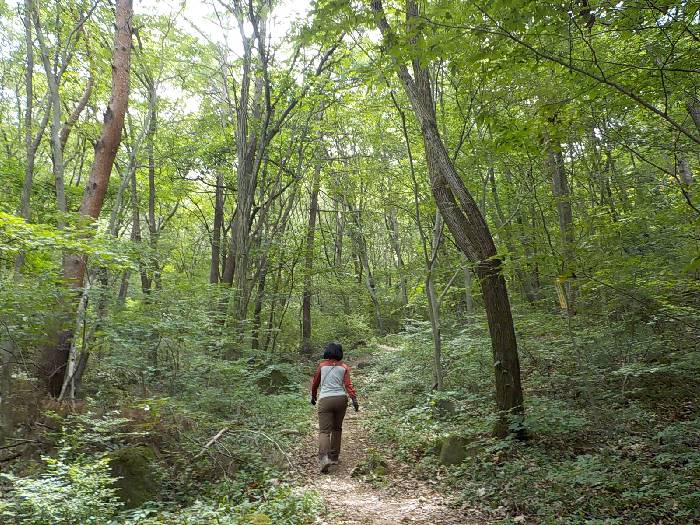 진천 두타산 등산코스 충북 진천 두타산 최단코스9