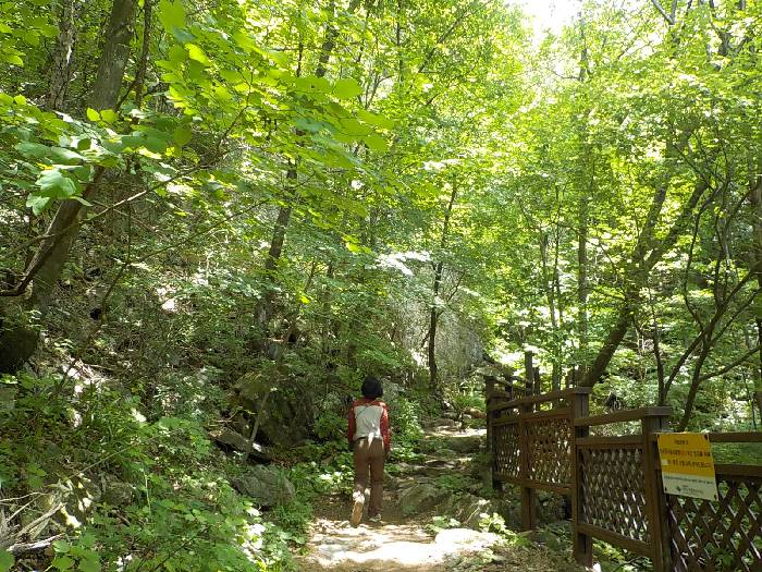 치악산 등산코스 원주 치악산 최단코스 등산지도15