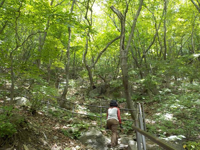 치악산 등산코스 원주 치악산 최단코스 등산지도20