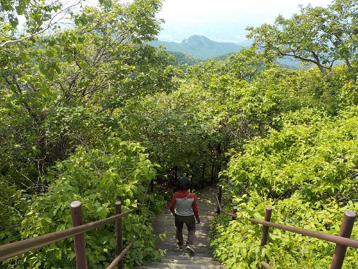 치악산 등산코스 원주 치악산 최단코스 등산지도32