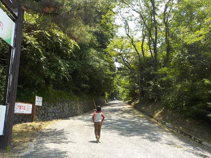 치악산 등산코스 원주 치악산 최단코스 등산지도6