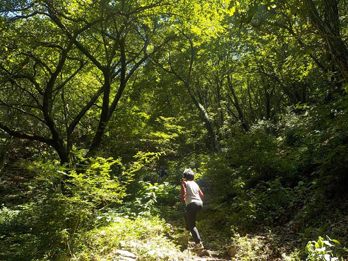 대구 앞산 등산코스 최단코스 등산지도12